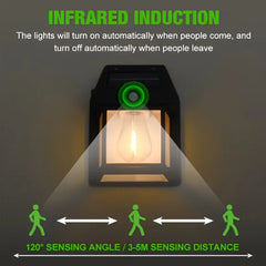 Solar Light